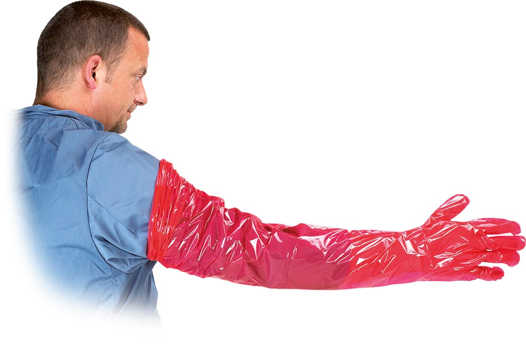 Rękawice weterynaryjne KRUUSE - KRU-RVET KRU-RVET_C