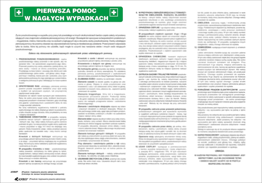 Znak bezpieczeństwa ANRO - ZZ-IB04 ZZ-IB04P250x500